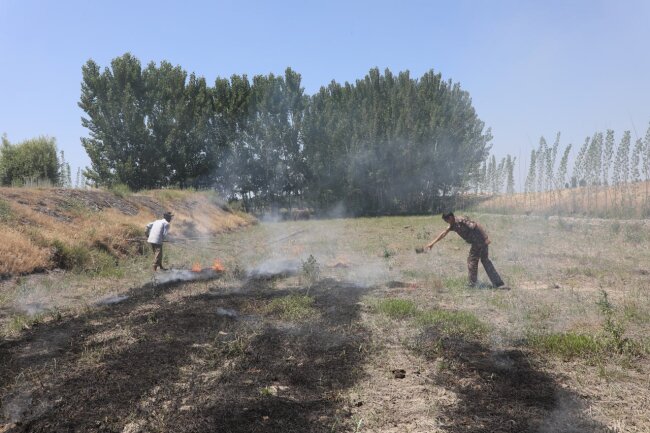 В Андижане сотрудники экологии и прокуратуры тушили подожжённое поле