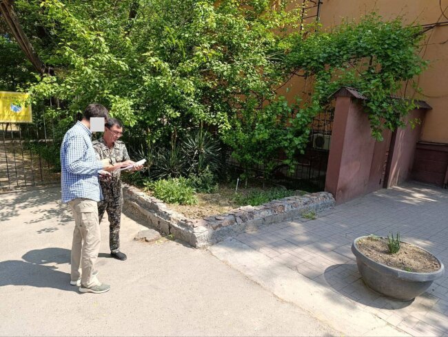 За вырубку сухого дерева житель Юнусабадского района заплатит огромный штраф