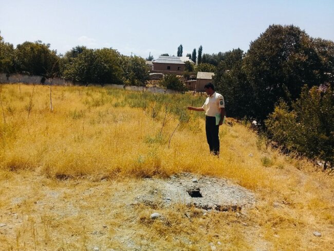 В Джизаке наказали ответственных лиц, по вине которых погибли 200 саженцев деревьев