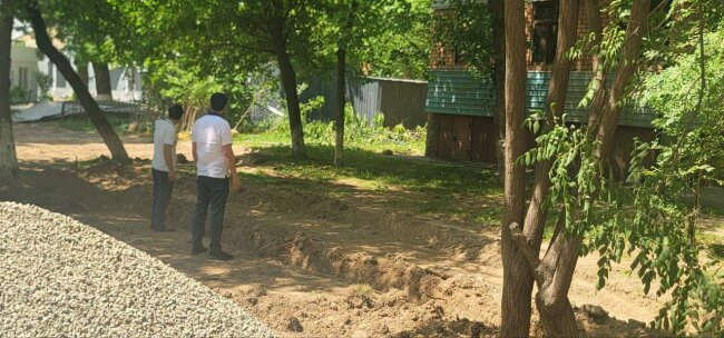 В Алмазарском районе повредили деревья, виновник заплатит крупный штраф