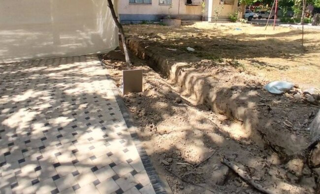 В Учтепинском районе злоумышленник заплатит крупный штраф за повреждение корней деревьев