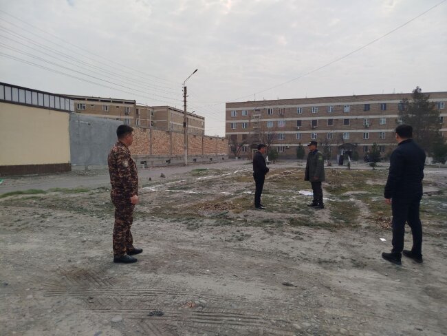 Экологи оправдали вырубку деревьев застройщиком в Коканде