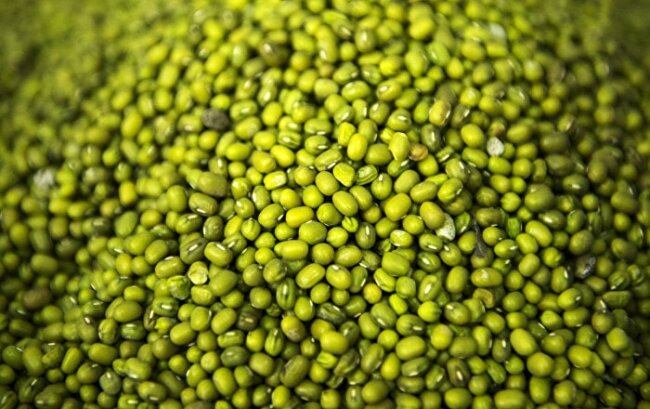 Узбекистан заработал на экспорте маша 22,3 млн долларов США