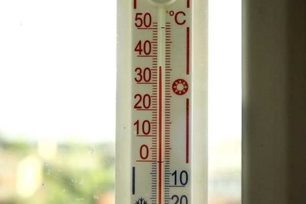 12 мая в Узбекистане температура воздуха прогреется до 37 градусов тепла