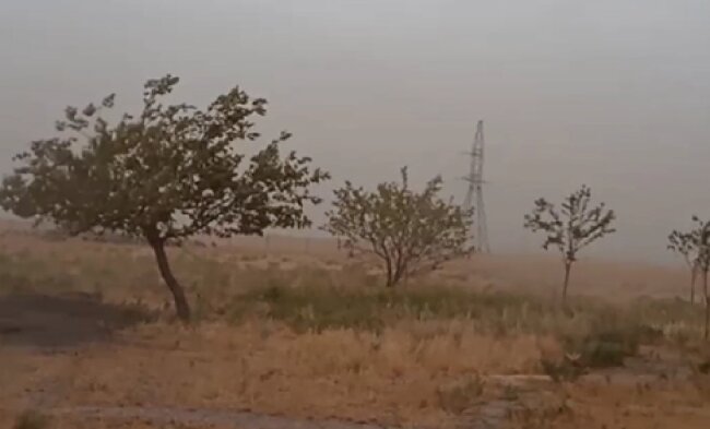 Сильный ветер и пыльная буря наблюдаются в Навоийской области