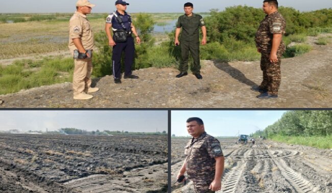 В Фергане двое граждан подожгли сухие остатки растений в поле