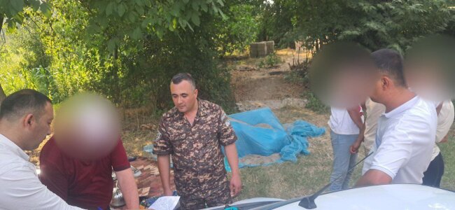 В Кашкадарье мужчина выплатит более 45 млн сумов за несколько срубленных орешин