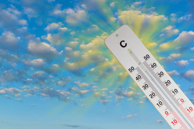В Узбекистане сегодня ожидается 44-градусная жара
