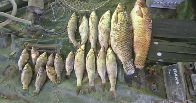 В Сырдарье браконьеры попытались скрыться от экологов, но были задержаны