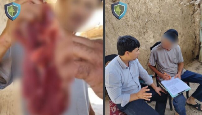 Житель Ташкентской области, находясь в природном заповеднике, убил кабана