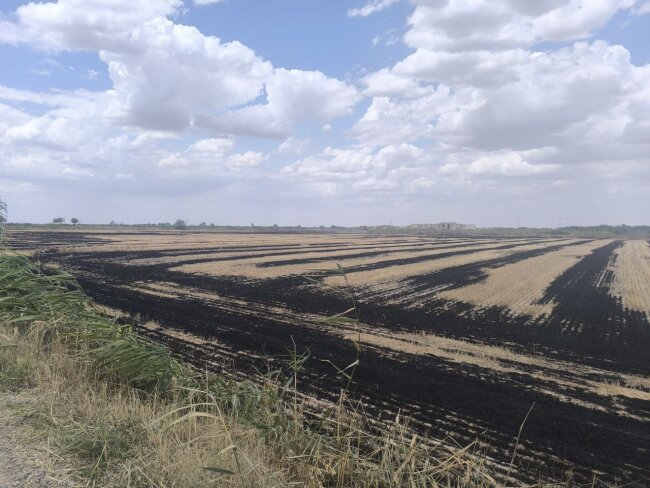 Мужчине, который поджёг поле в Гиждуванском районе, выписан крупный штраф