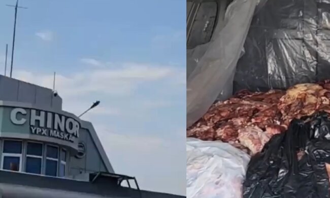 В Ташкентской области выявили автомобиль, перевозивший мясо неизвестного животного