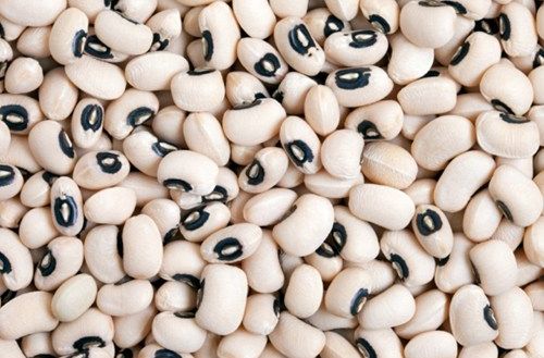 Пакистан стал главным покупателем узбекской фасоли