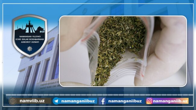 В Намангане задержан наркоман, который хранил при себе марихуану