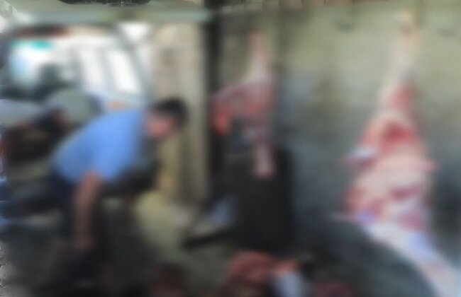 Житель Бухарской области организовал в своём доме скотобойню