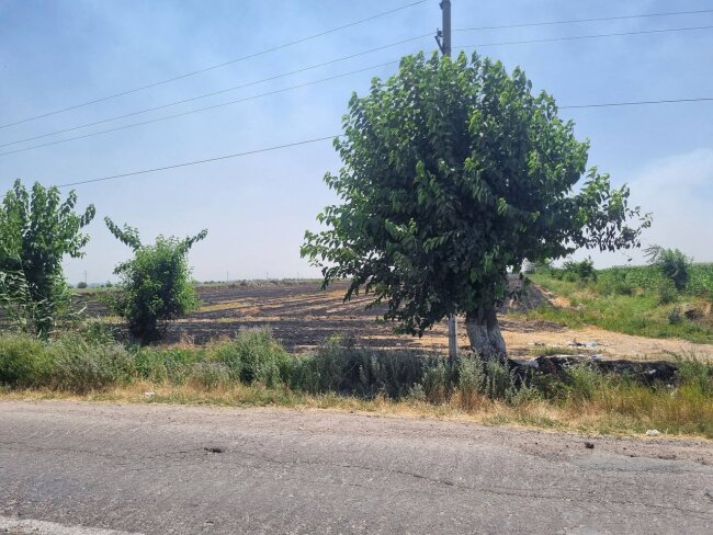 В Ташкентском районе мужчина заплатит крупный штраф за поджог поля