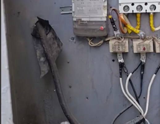 Индивидуальный предприниматель из Бекабада украл электроэнергию на 1,3 млрд сумов