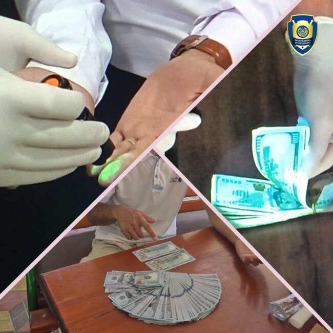 Задержаны мошенники, которые незаконно занимались трудоустройством граждан Узбекистана за рубежом