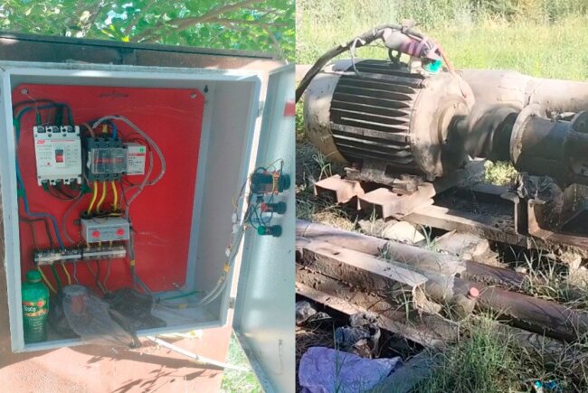 В Самарканде фермер смог нанести ущерб государству на 910 млн сумов