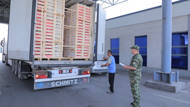 Ферганская область за 2025 год экспортировала 32 тыс. тонн абрикосов