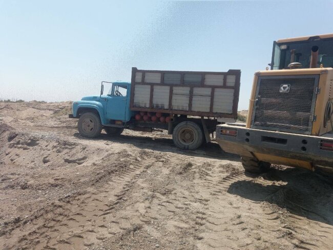 Ущерб природе на 17 млрд сумов нанесли злоумышленники в Бекабаде