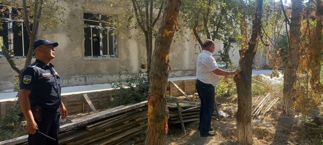 При осуществлении строительных работ в Бухаре уничтожены десятки деревьев