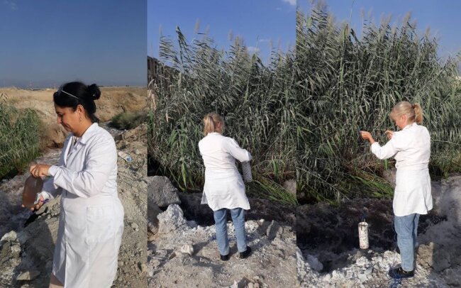 Экологи взяли пробы цветных вод, которые сливаются в реку Чирчик на территории Ташкентской области