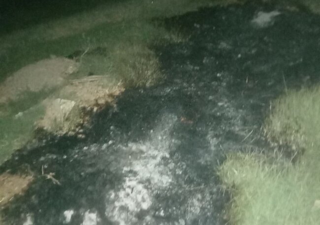 В Кашкадарье мужчина наказан штрафом за поджог травы