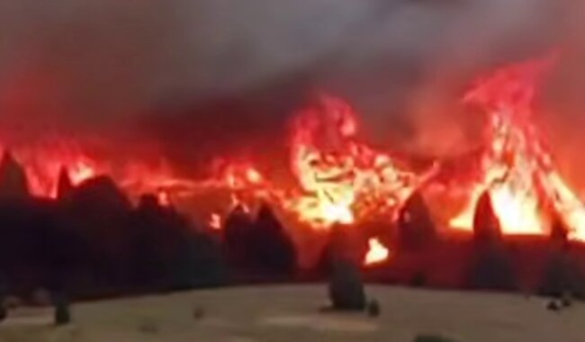 В Сурхандарьинской области разгорелось «адское» пламя, лесной пожар тушат уже более 7 часов
