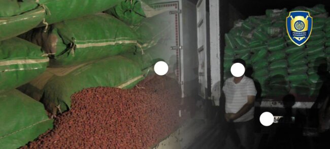 Незаконное производство хлопкового масла выявлено в Кашкадарье