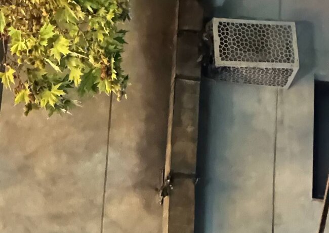 Ночью в Мирабадском районе произошёл пожар в кафе