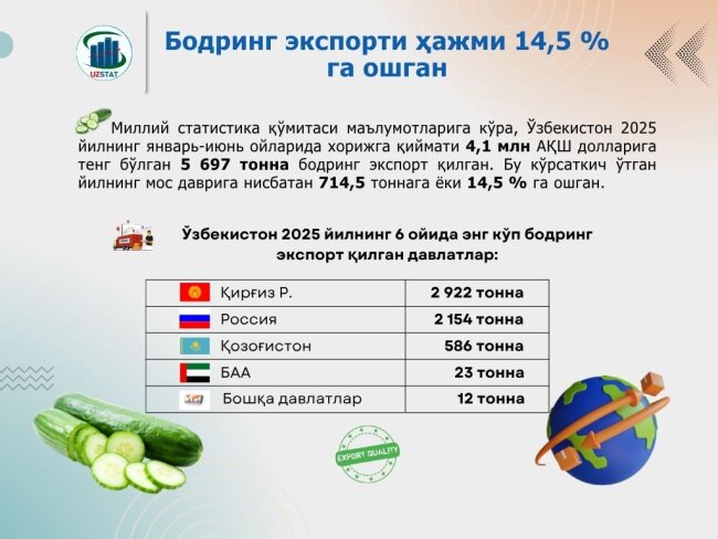 Экспорт узбекских огурцов увеличился на 14,5%