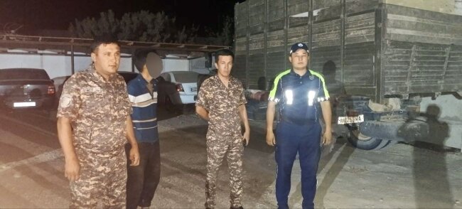 Водитель грузовика в Хорезме выплатит огромный штраф за вырубку и перевозку саксаула