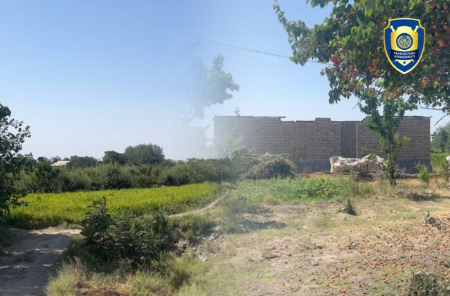 В Андижане и Самарканде выявлены случаи мошенничества с кадастровыми документами