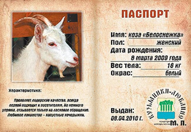 Паспорт домашних животных в Узбекистане: Главное