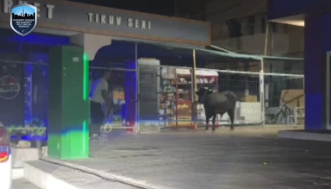 В Чиланзарском районе сотрудники ОВД ловили взбесившегося быка, есть пострадавшие