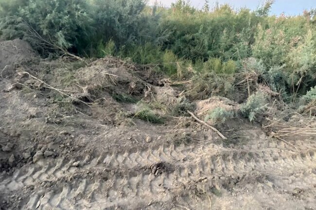 В Самаркандской области экологи наказали водителя экскаватора огромным штрафом