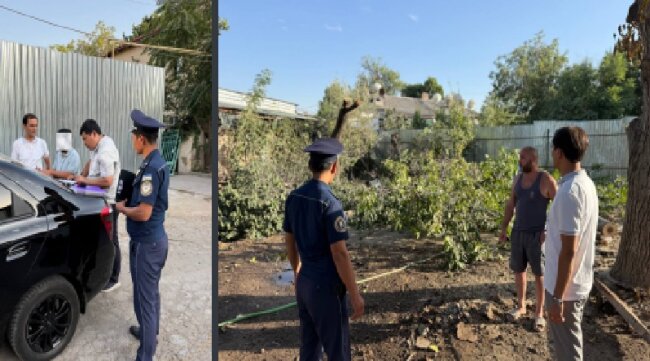 За вырубку деревьев в Яккасарайском районе «лесорубам» придётся заплатить