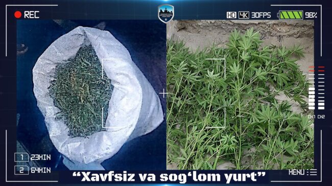 У жителя Карши выявили более 1кг марихуаны