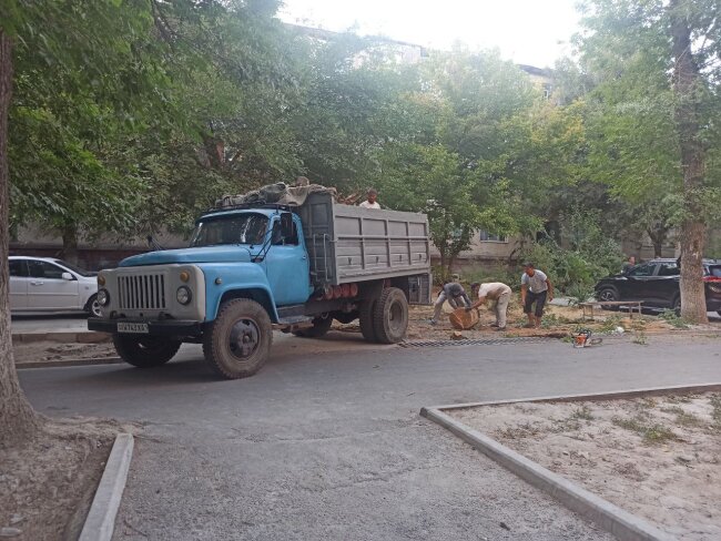Экологи наказали мужчину, который уничтожил два дерева в Учтепинском районе