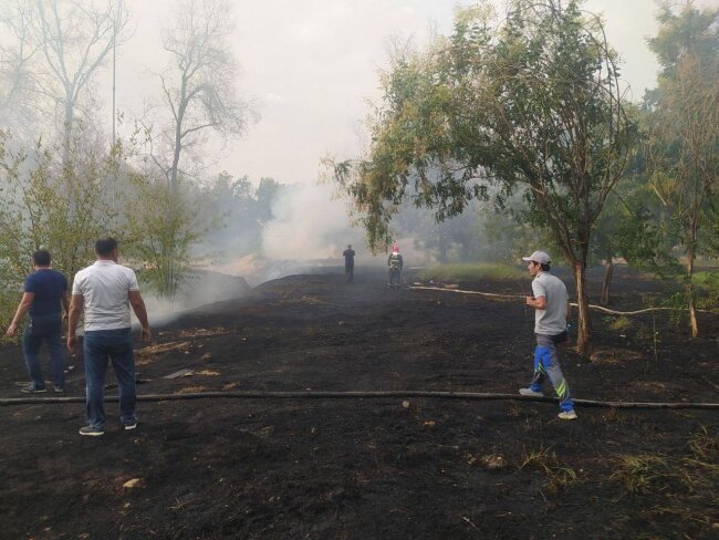 Рядом с аэропортом Ташкента загорелась сухая трава