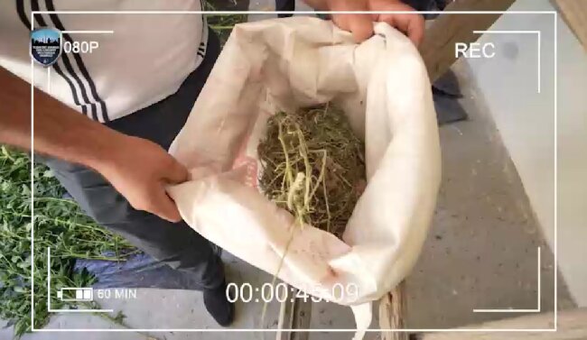 У жителя Мирзо-Улугбекского района выявили более 7кг наркотиков