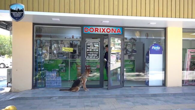 В Ташкенте начали обучать собак-поводырей для незрячих людей и людей с ограниченными возможностями