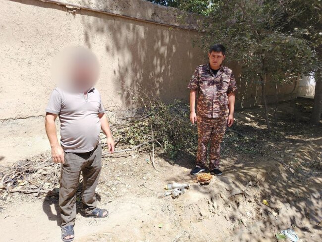 Срубленное дерево обойдётся жителю Каттакургана почти в 11,5 млн сумов