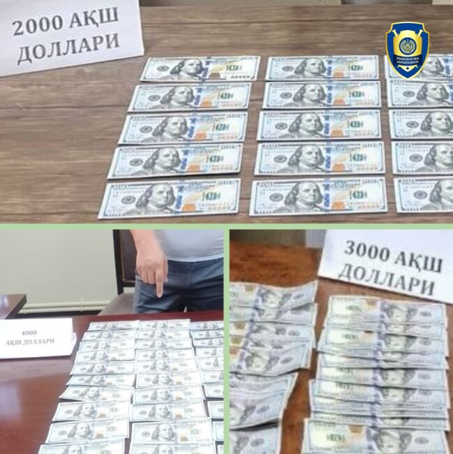 В нескольких регионах Узбекистана задержали мошенников, обещавших зачисление на учёбу в вузы