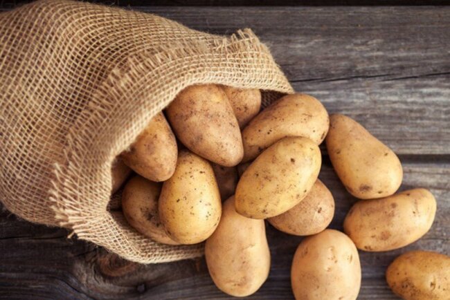 Назван регион Узбекистана с самым большим объёмом производства картофеля