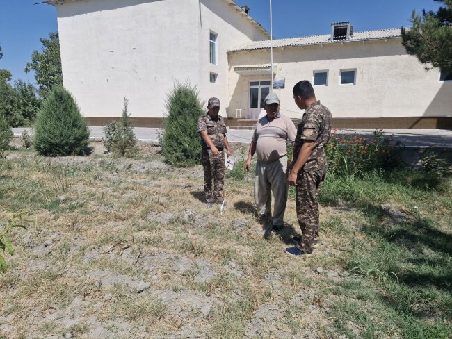 В Самаркандской области ответственное лицо школы оштрафовали за засохшие саженцы деревьев