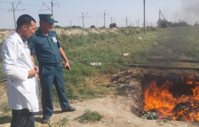 В Сырдарье уничтожили 1 200кг непригодного куриного мяса