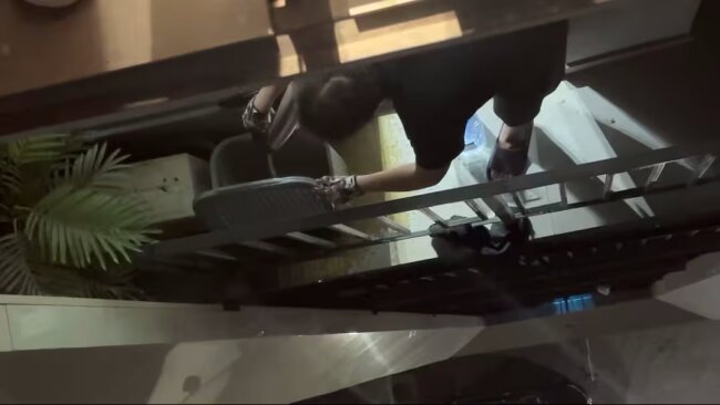 В Ташкенте наказали гражданина Китая, который жестоко издевался над кошкой