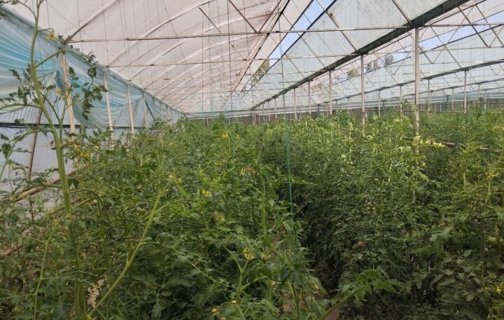 В Фергане мужчина оказал воздействие на электросчётчик, ущерб превысил 670 млн сумов